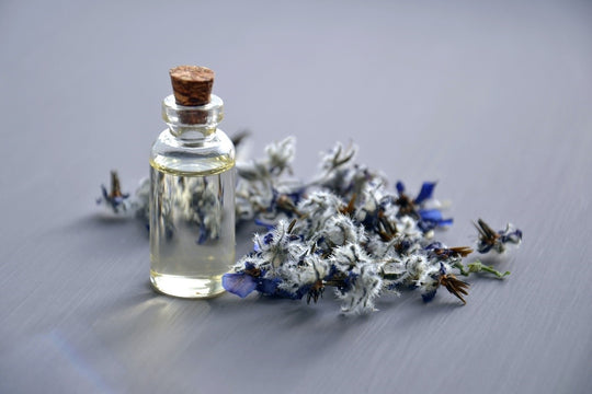 Going Back To The Roots: How Are Essential Oils Extracted?