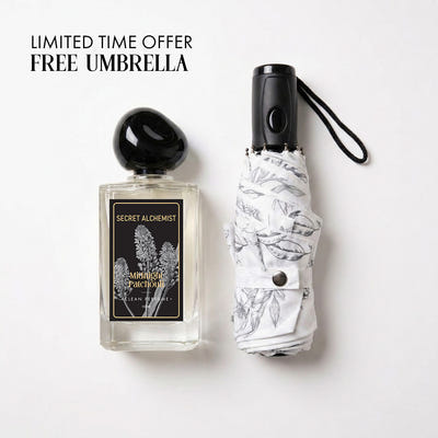 Midnight Patchouli- Clean Perfume™ (Parfum)