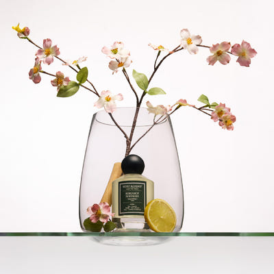 Bergamot Nostalgia- Clean Perfume (EDP)