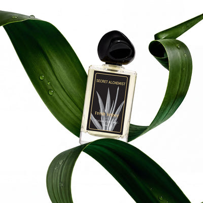 Fresh Vetiver- Clean Perfume™ (Parfum)