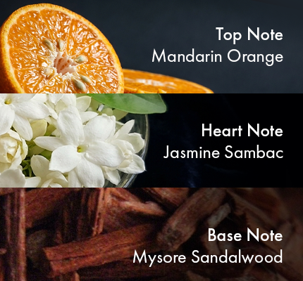 Mystic Santal- Hair perfume - Clean Perfume™
