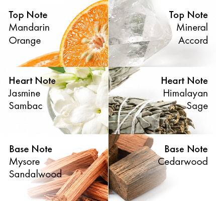 Mineral Sage + Mystic Santal + Golden Aura- Hair perfume - Clean Perfume™
