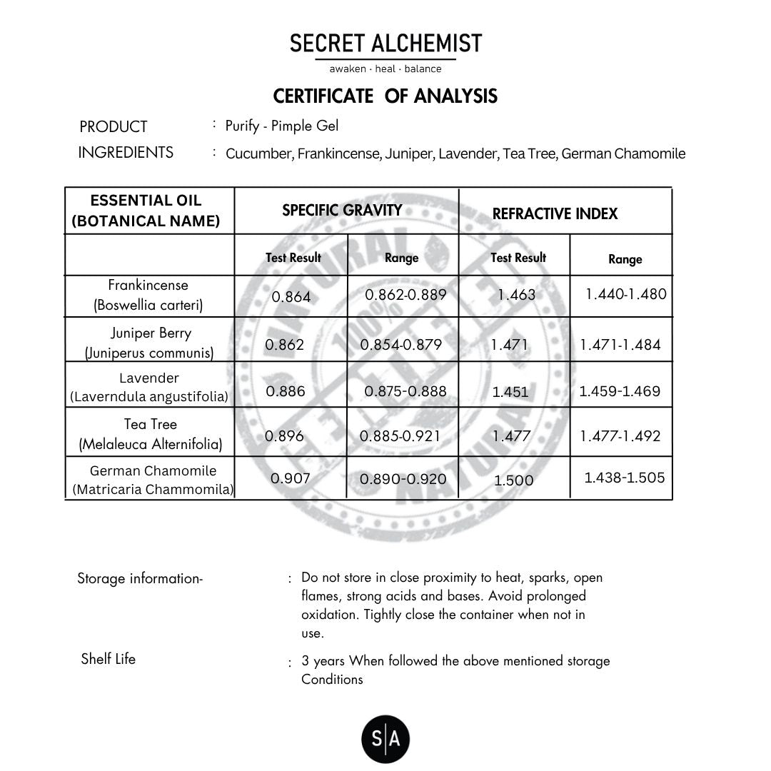 Trust Report Image