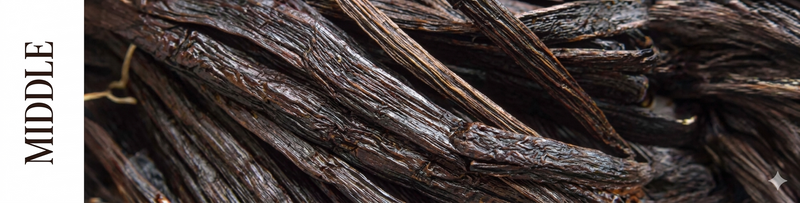 Kerala Vanilla 