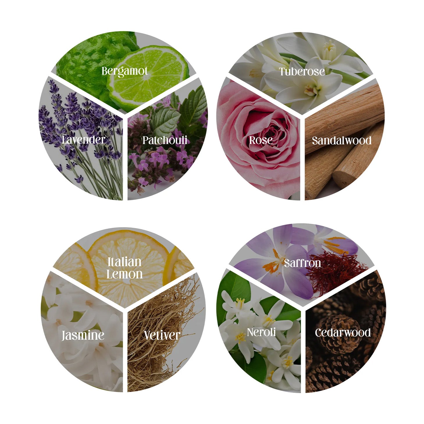 The Signature Discovery Set of 4 Clean Perfume™ Parfum – Secret