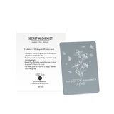 Alchemies of Affirmation